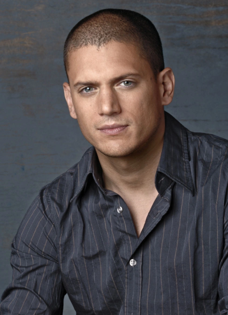 wentworth miller wife